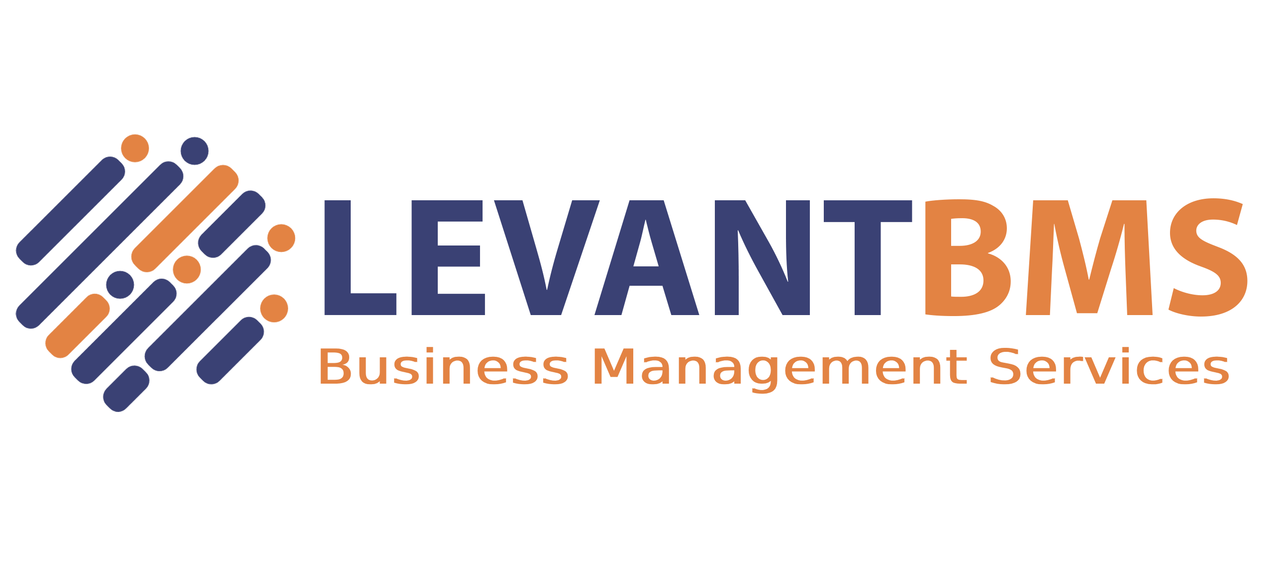 Levantbms Logo